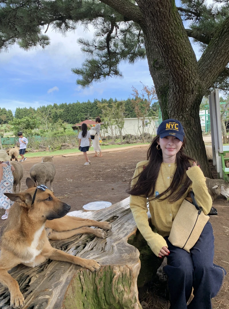 TTS【薄荷开衫】蓝色刺绣针织开衫上衣女秋