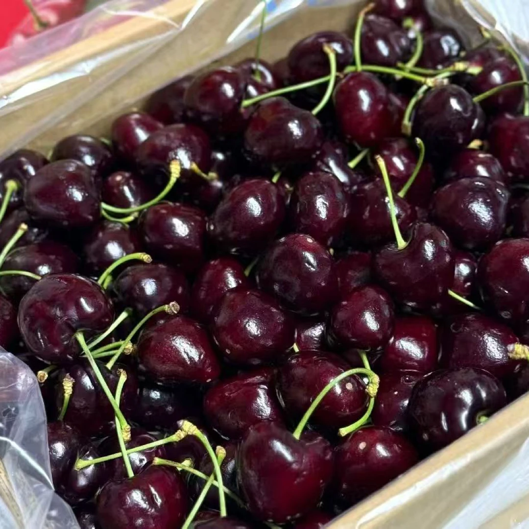 海运智利4J车厘子5斤智利