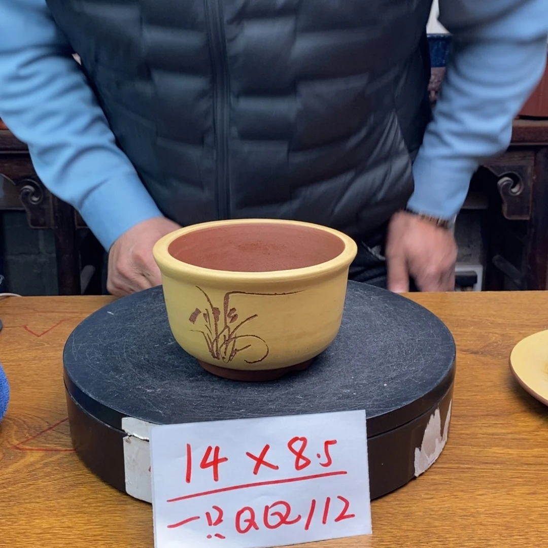 红陶货号一只QQ112