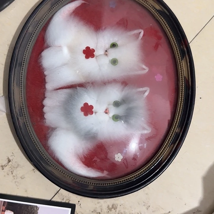 水***月扇子不好宝贝宝贝宝贝宝贝宝贝吧你