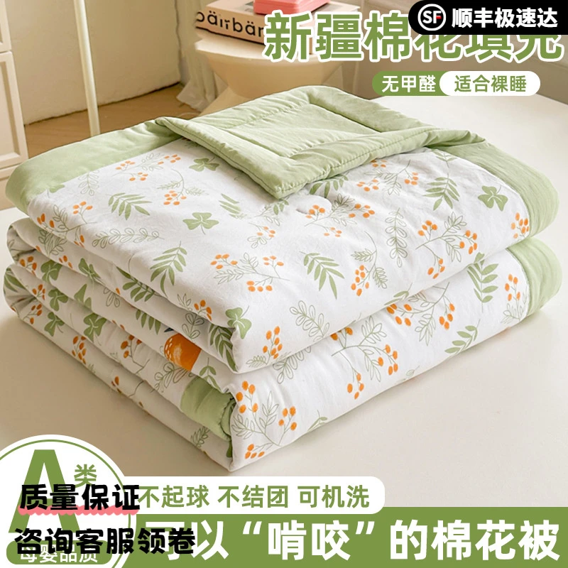 a类母婴级新疆棉花夏凉被双人可机洗水洗夏季空调被礼品被子夏被