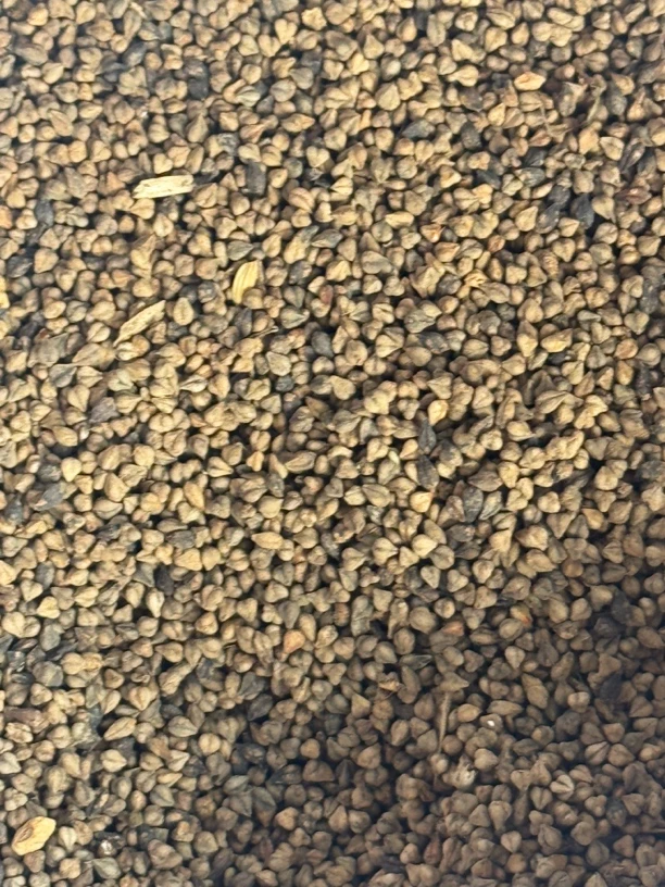 高丽共山脚下的苦荞面