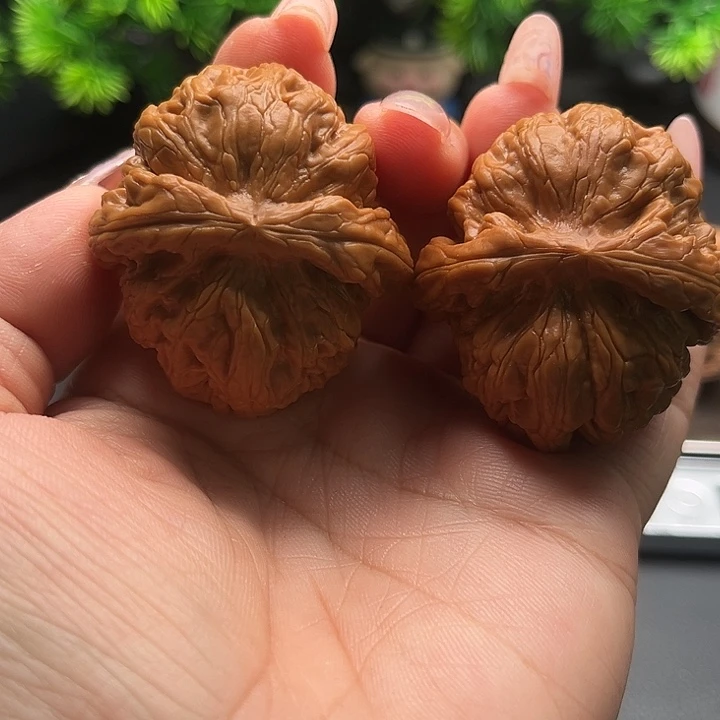 老***赵核桃42红锦鲤核桃