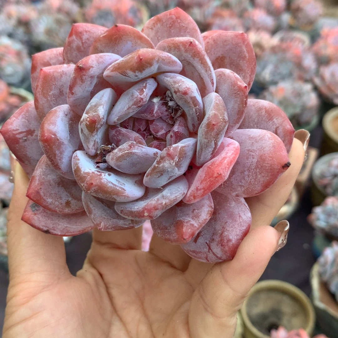 哈哈哈哈哈哈哈哈哈哈