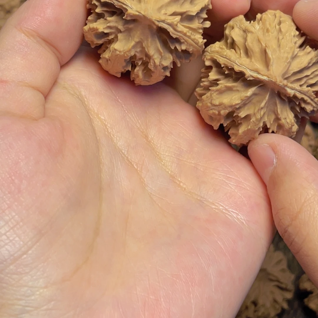 桃核把件3 秦岭灯笼野生小众