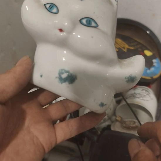 枫***林来来来来来来look来来来了