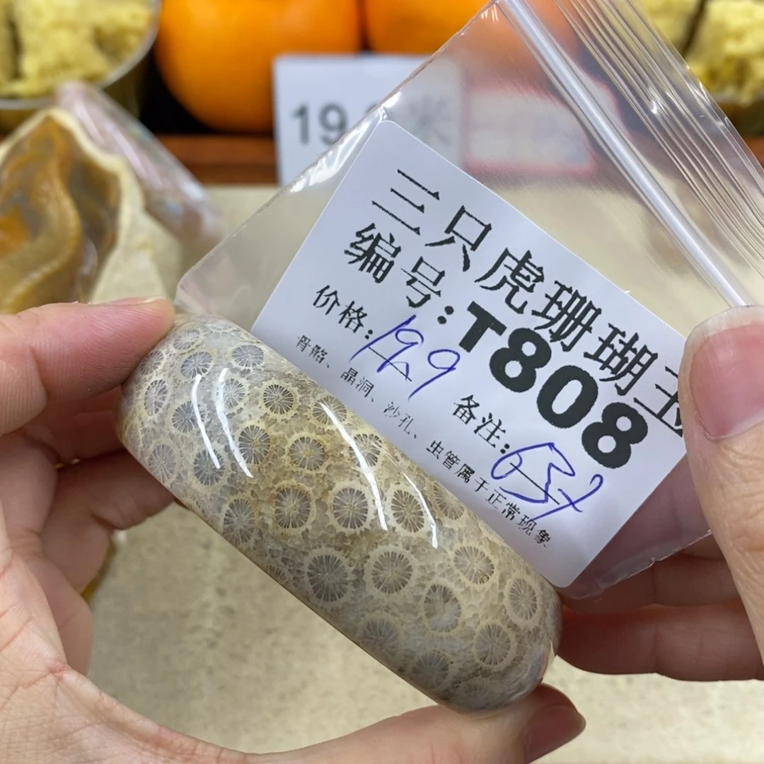 硅化珊瑚（珊瑚玉）1未镶嵌未****好