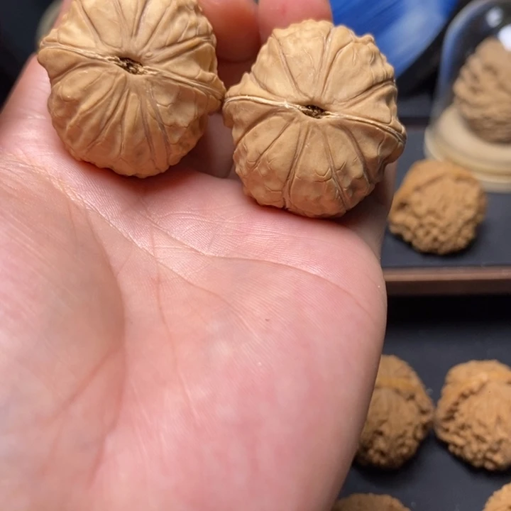 文玩核桃吊坠白****龟