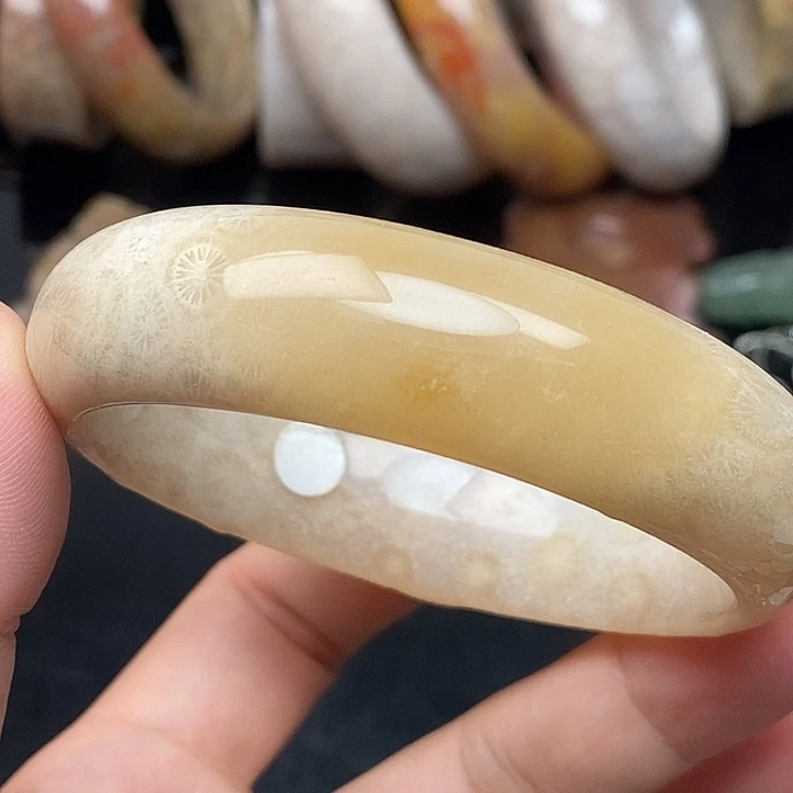 硅化玉未镶嵌颈饰57