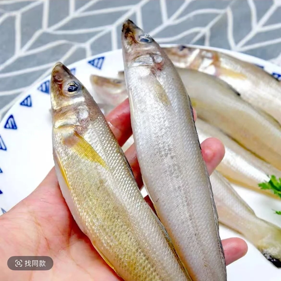 青岛当地野生沙丁鱼4斤起顺丰包邮炸鱼