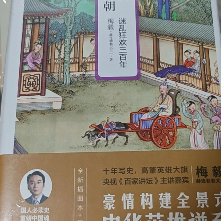 两晋南北朝精装梅毅