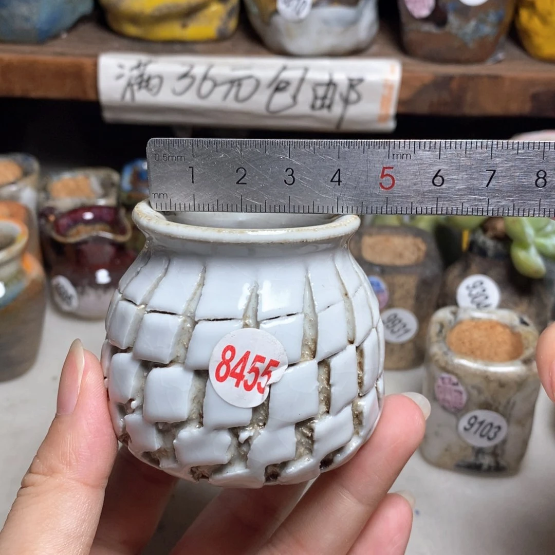 拍5送一个小礼物