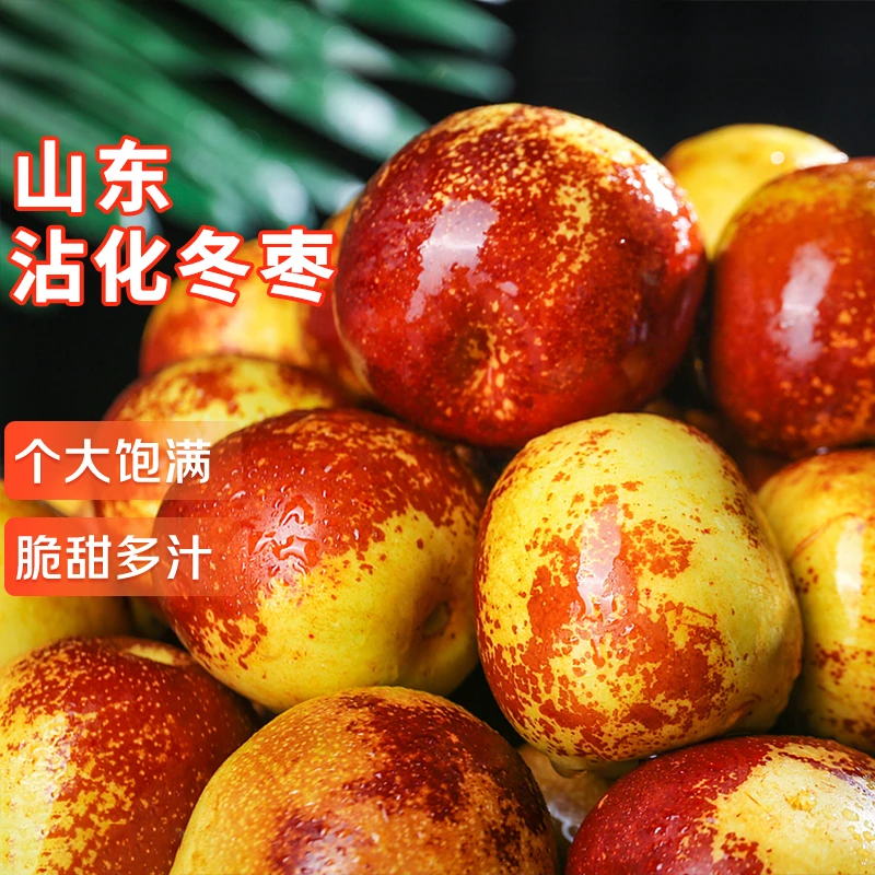 正宗山东沾化冬枣现摘现发应季【包邮现发】新鲜脆甜多汁