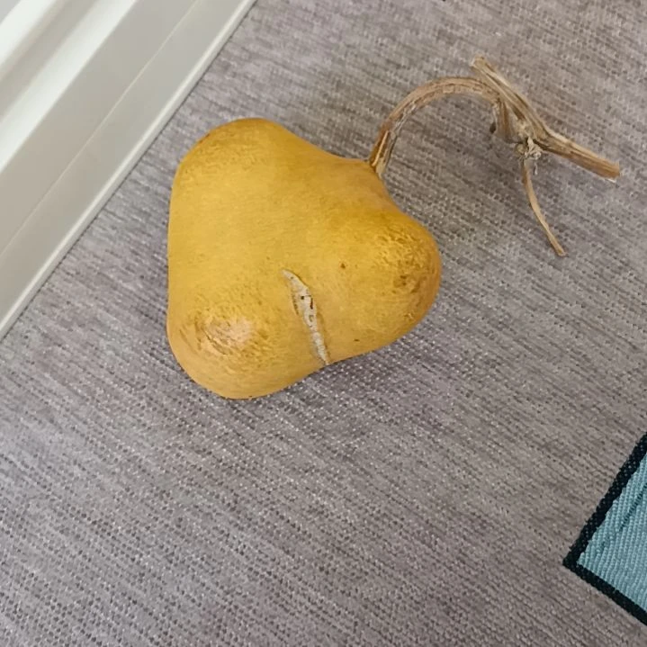 潮****升葫芦葫芦葫芦葫芦葫芦葫芦