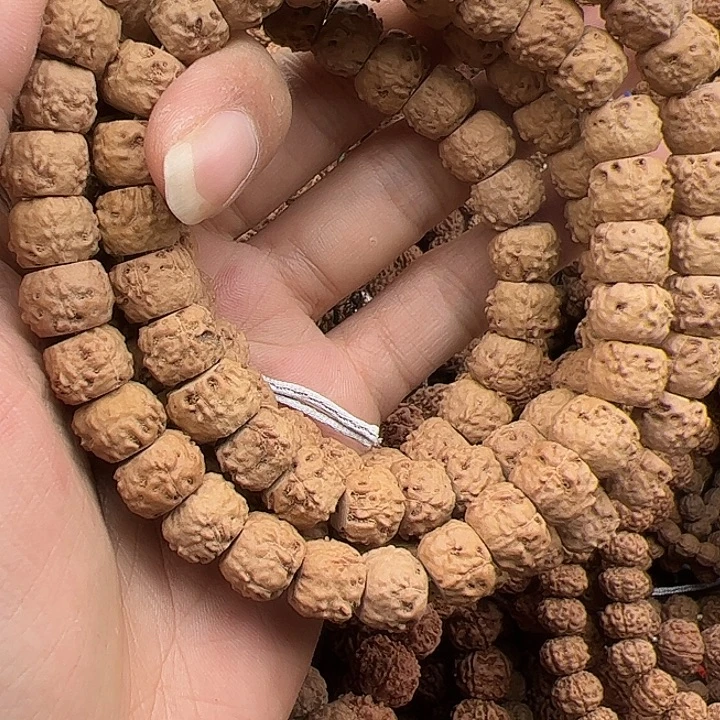星***烂手串金刚菩提谢谢