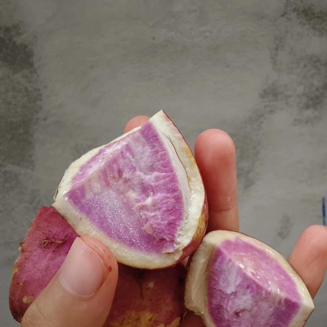 沙地种植冰淇淋红薯一点红香甜粉糯健康老少皆宜