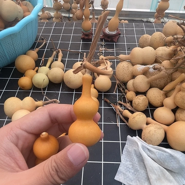 用***5888888888888888888