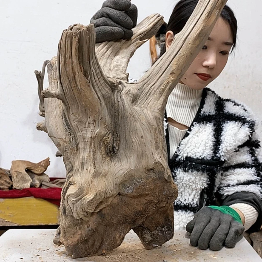 【闪购商品】柏木艺*缘我们都是好孩子