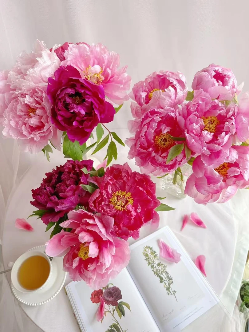 诚信专属【随机混搭】年宵花山东牡丹鲜花芍药重瓣鲜切花百合玫瑰