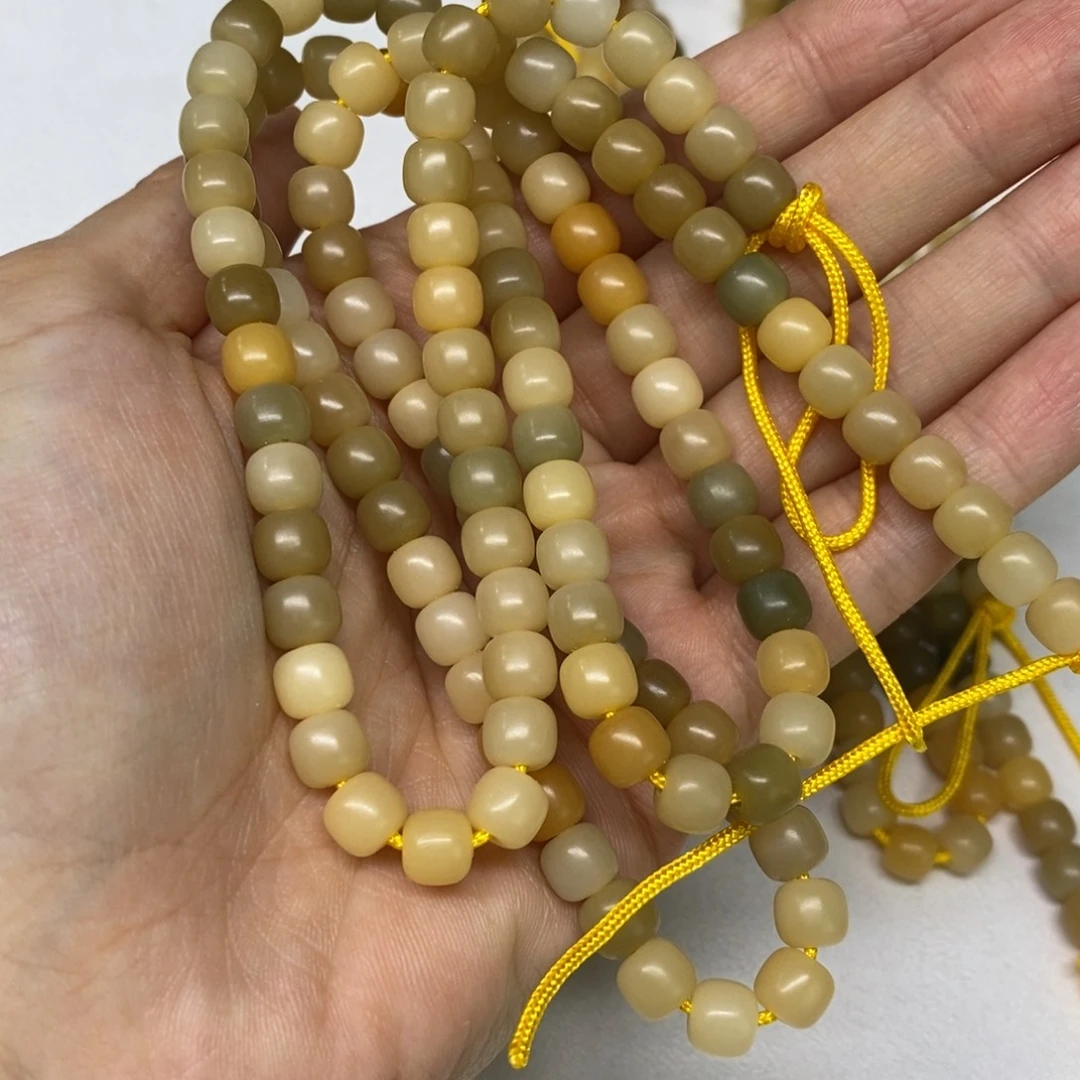 害***饯吊坠菩提根/象牙果害羞