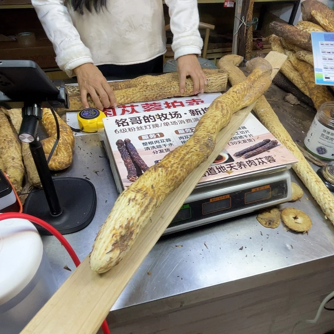 中国大陆66厘米2.7斤