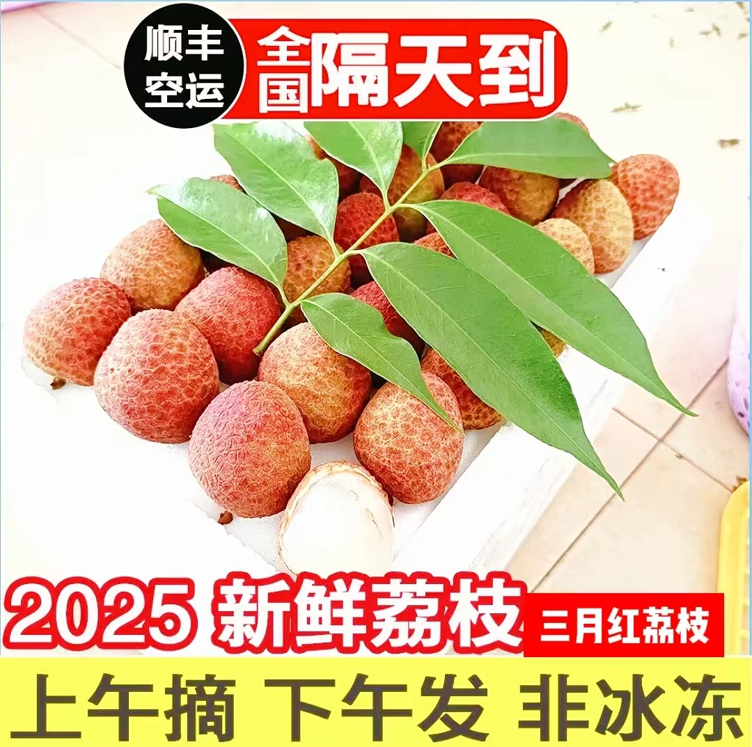 广西灵山三月红荔枝大果皮薄多汁肉厚当季新鲜水果（酸甜）