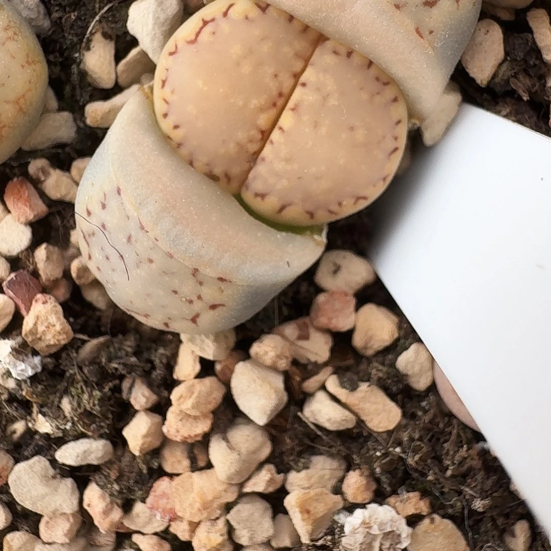 宇**-宇5555555555555