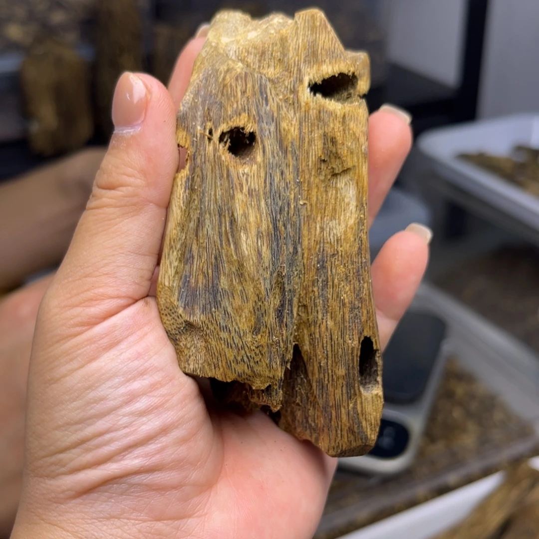 噢***噢沉香碎屑沉香奇楠沉香熏香虎斑紫棋虫漏41克