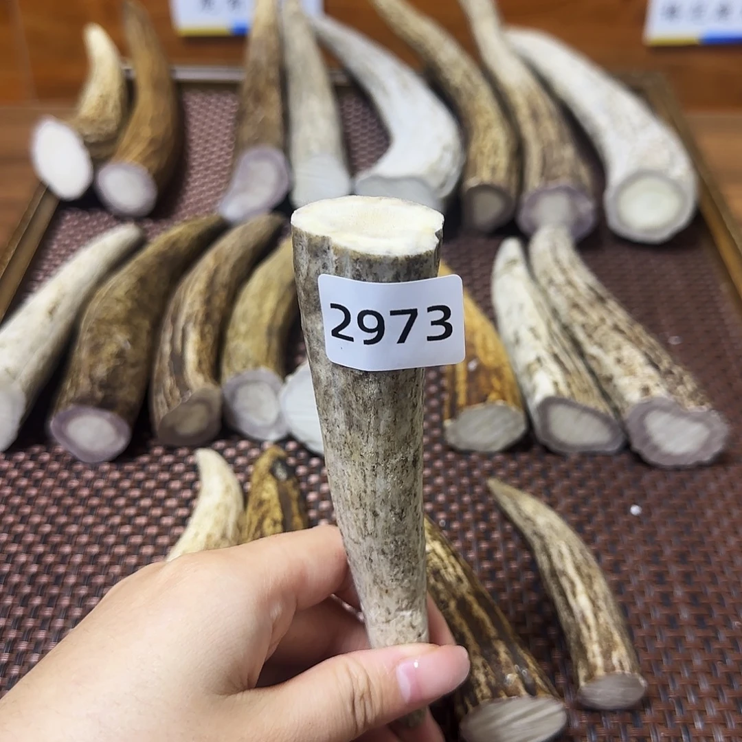 手串/手链鹿骨角尖2973