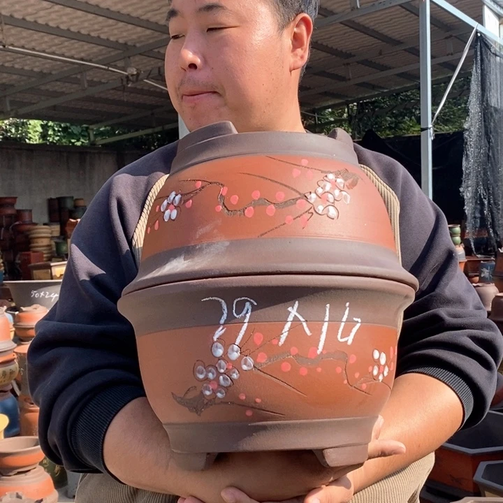 紫砂花盆盆栽花卉苗木种植