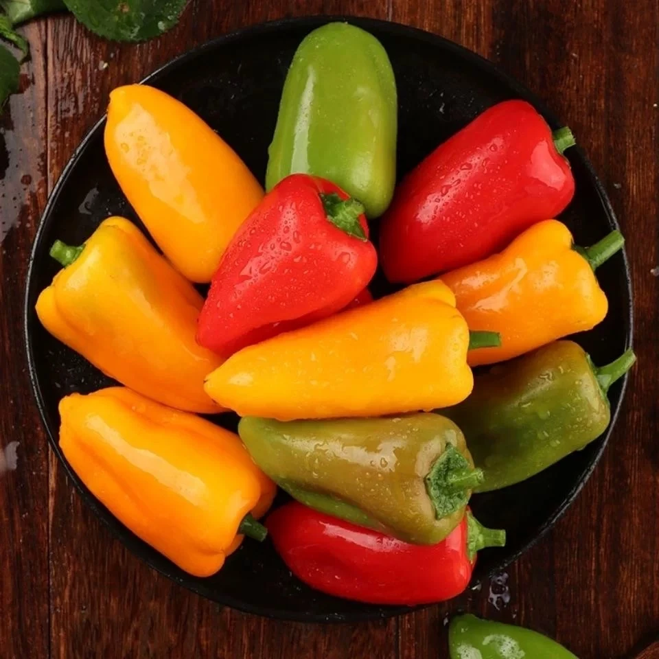 新鲜清甜三色水果彩椒可生食适合沙拉凉拌的健康蔬菜