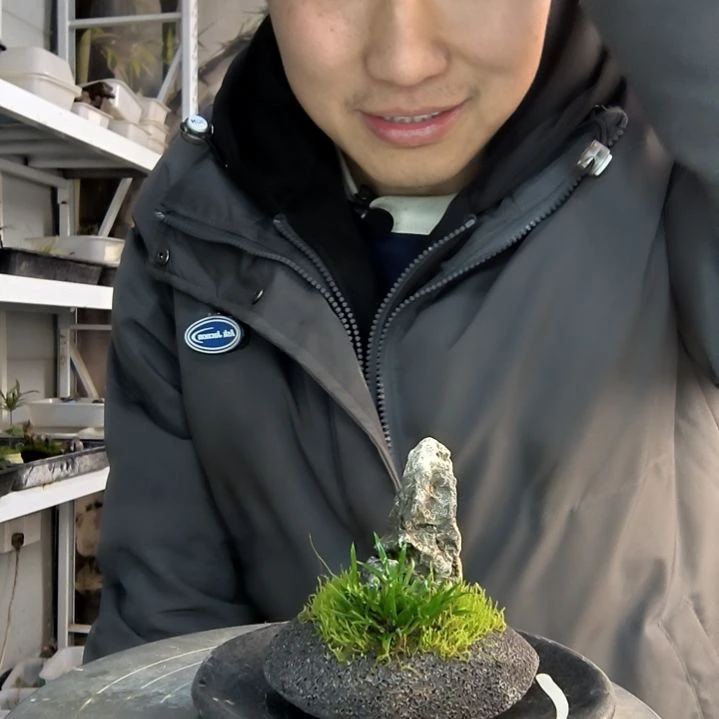 二*小盆景小植物一物一拍107