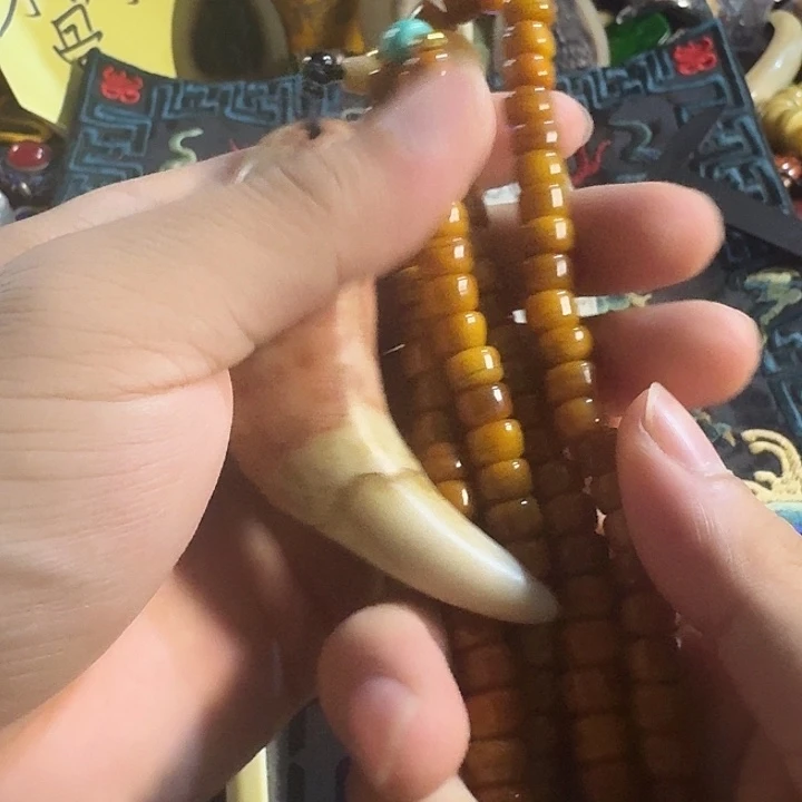 大哥专拍链接一号