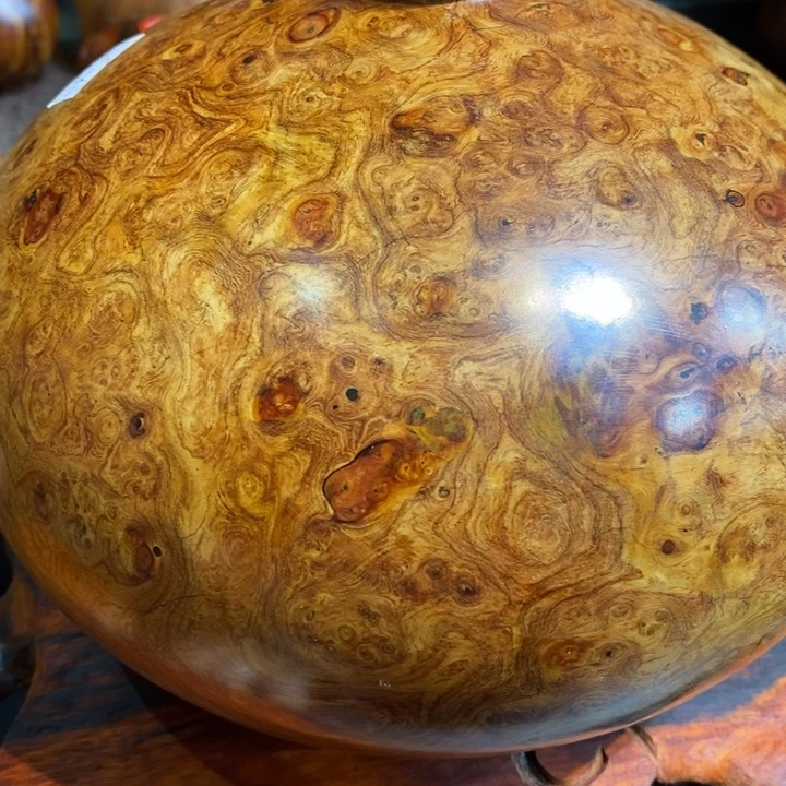 宝瓶漂亮一物一拍