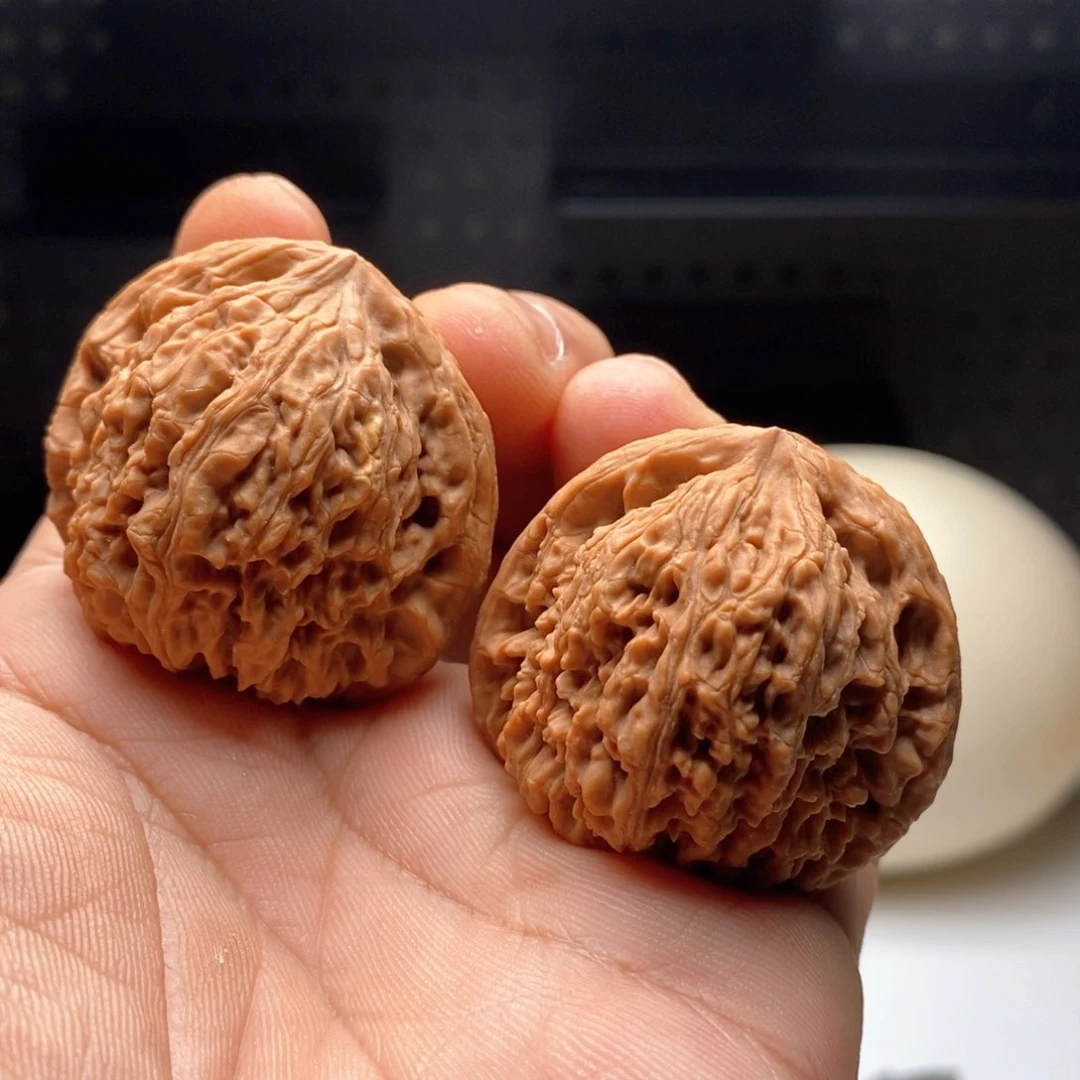 41全品粗棱球将88888888