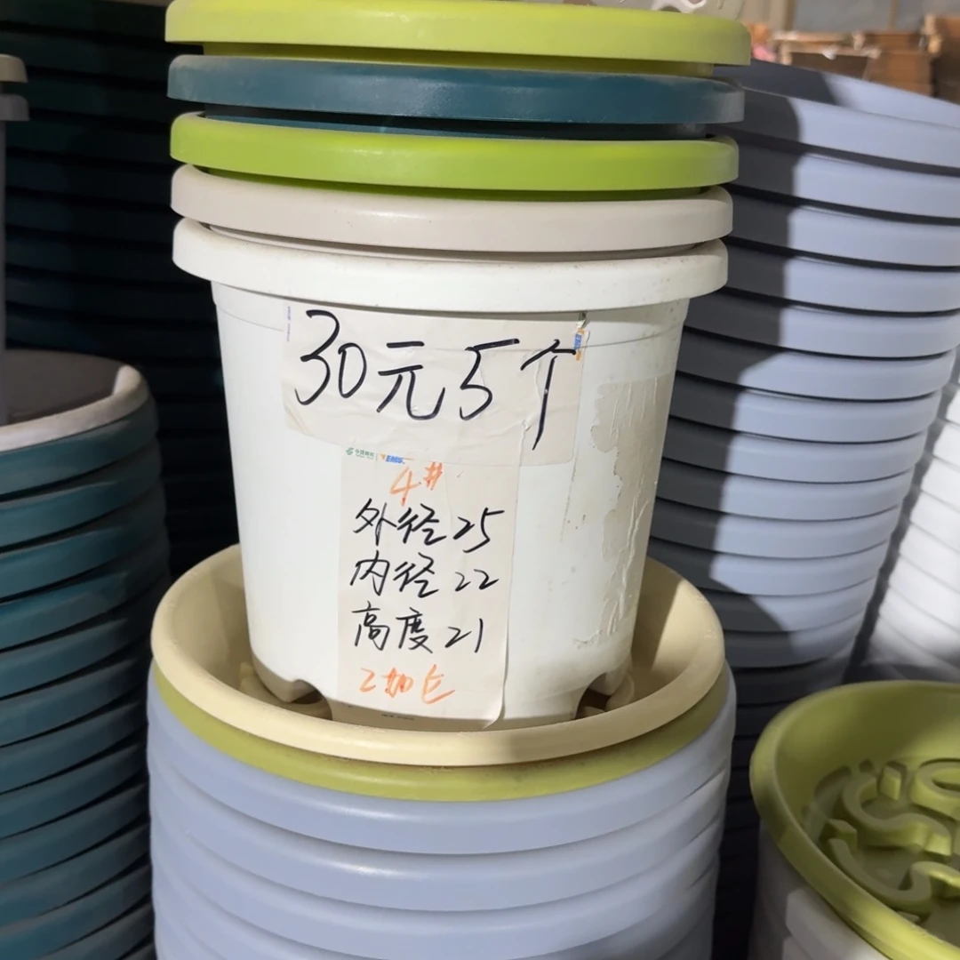 四季4#口径25无拖果绿10个