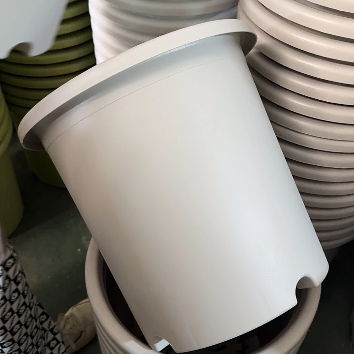 四季8号灰白无托3个特价微瑕