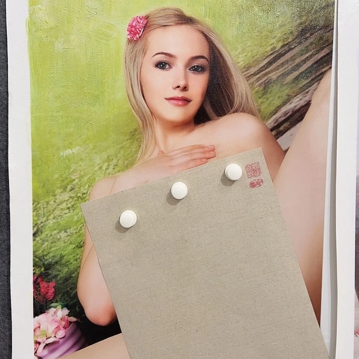 金寨画作欣赏作品