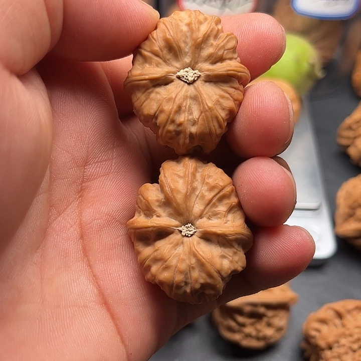 山***狮文玩核桃把件门头沟