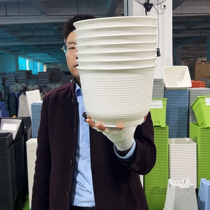 正品矮陶口24高17白色6只无托