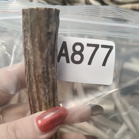 小***豆鹿角鹿角鹿角鹿角鹿角