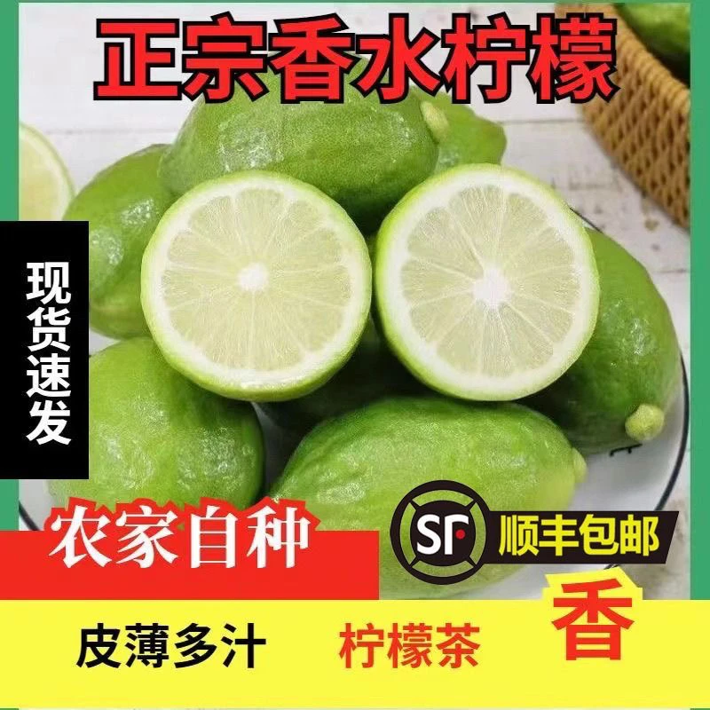顺丰包邮广东香水柠檬无籽清香新二级果奶茶咖啡店专用