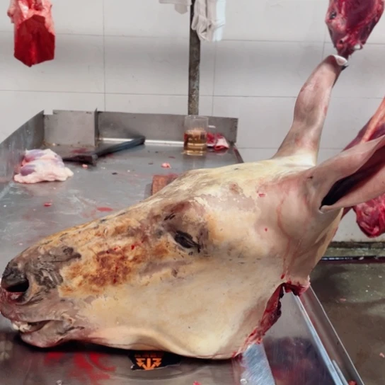 【闪购商品】冷冻保存30天包装河北省