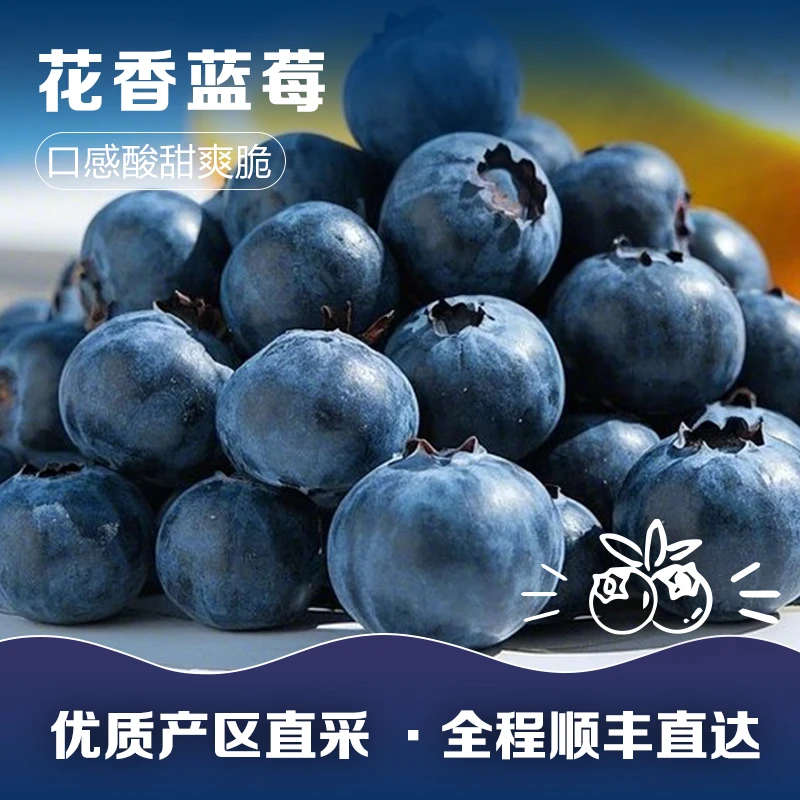 【顺丰包邮】花香脆甜蓝莓空运巨无霸水果蓝莓鲜果大果0