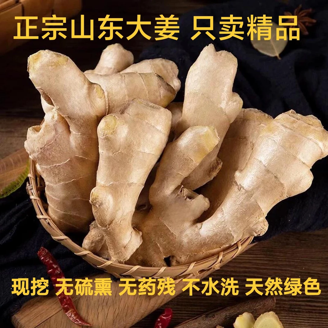 坏果包赔生姜山东大姜老姜黄姜辛辣十足产地直销