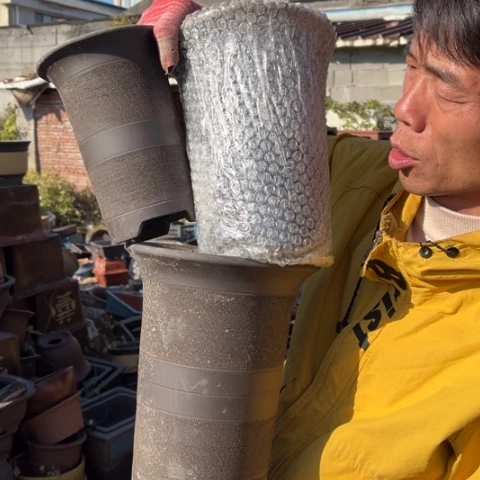 紫砂花盆特价包邮送