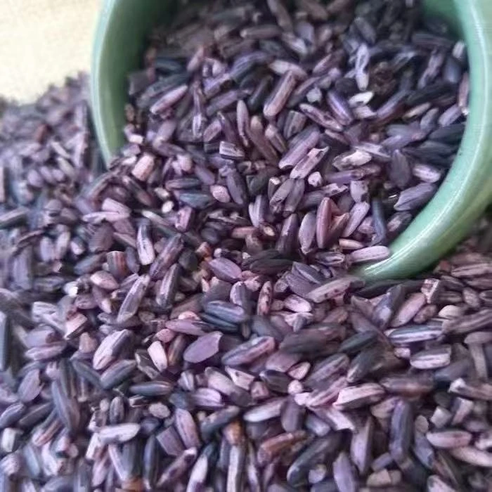 福建钟山紫糯米 软糯香甜血糯米仙游单季新米紫米 农家自种紫糯米