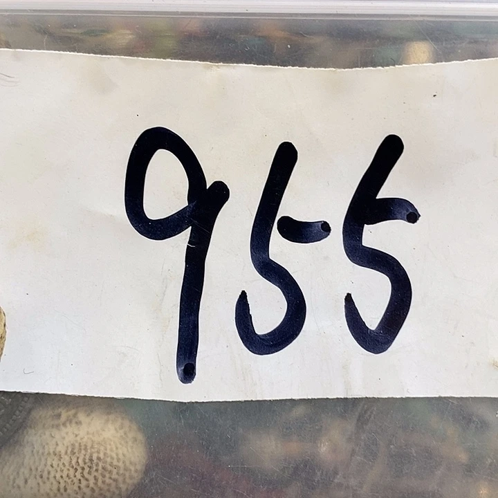 贵***歌最美古村专属链接