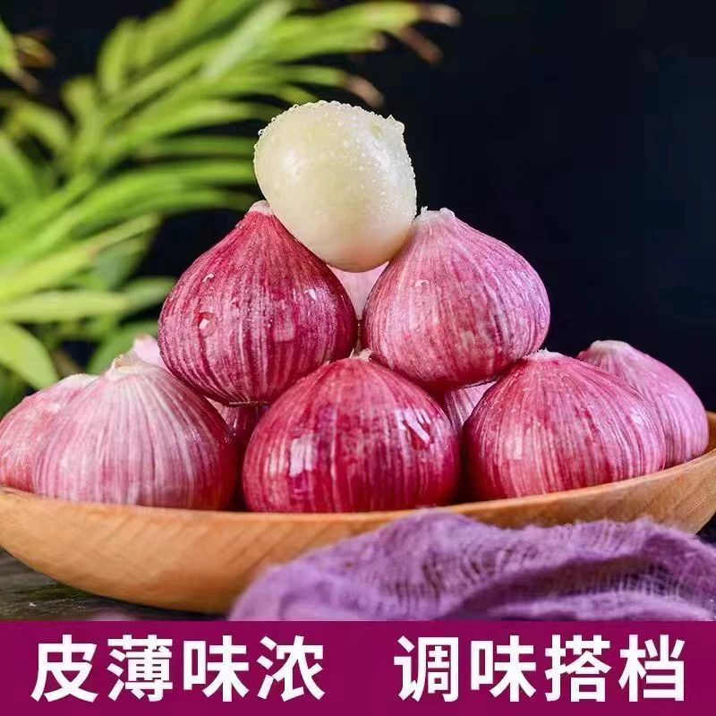 云南大理紫皮独头蒜大蒜头农家自种特大圆蒜0.5/1/2/3/5斤包邮