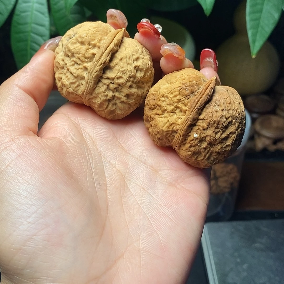 文玩核桃把件周*菊花元宝